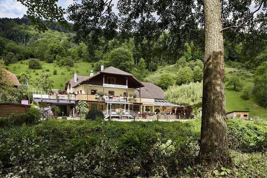 Hostellerie Les Bagenelles Sainte-Marie-aux-Mines Exterior photo